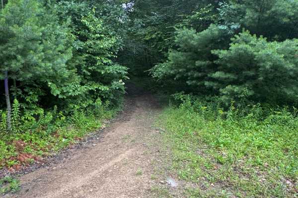 Trail 1