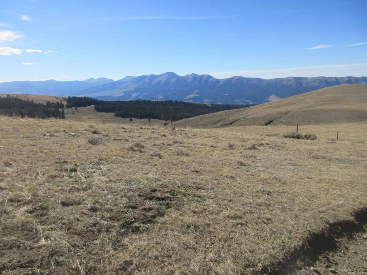 Standard Creek Rd w/Wolverine Basin photo 6