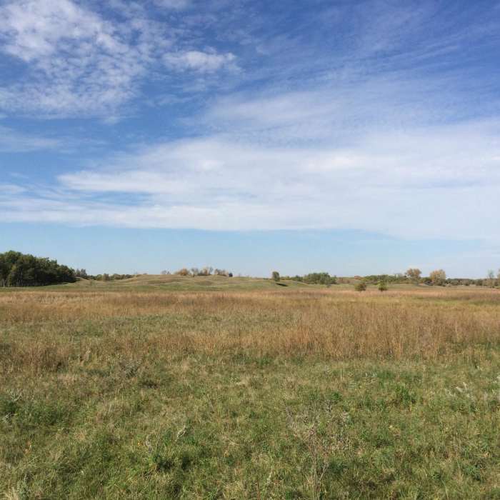 Near Sheyenne National Grassland Near Sheyenne National Grassland