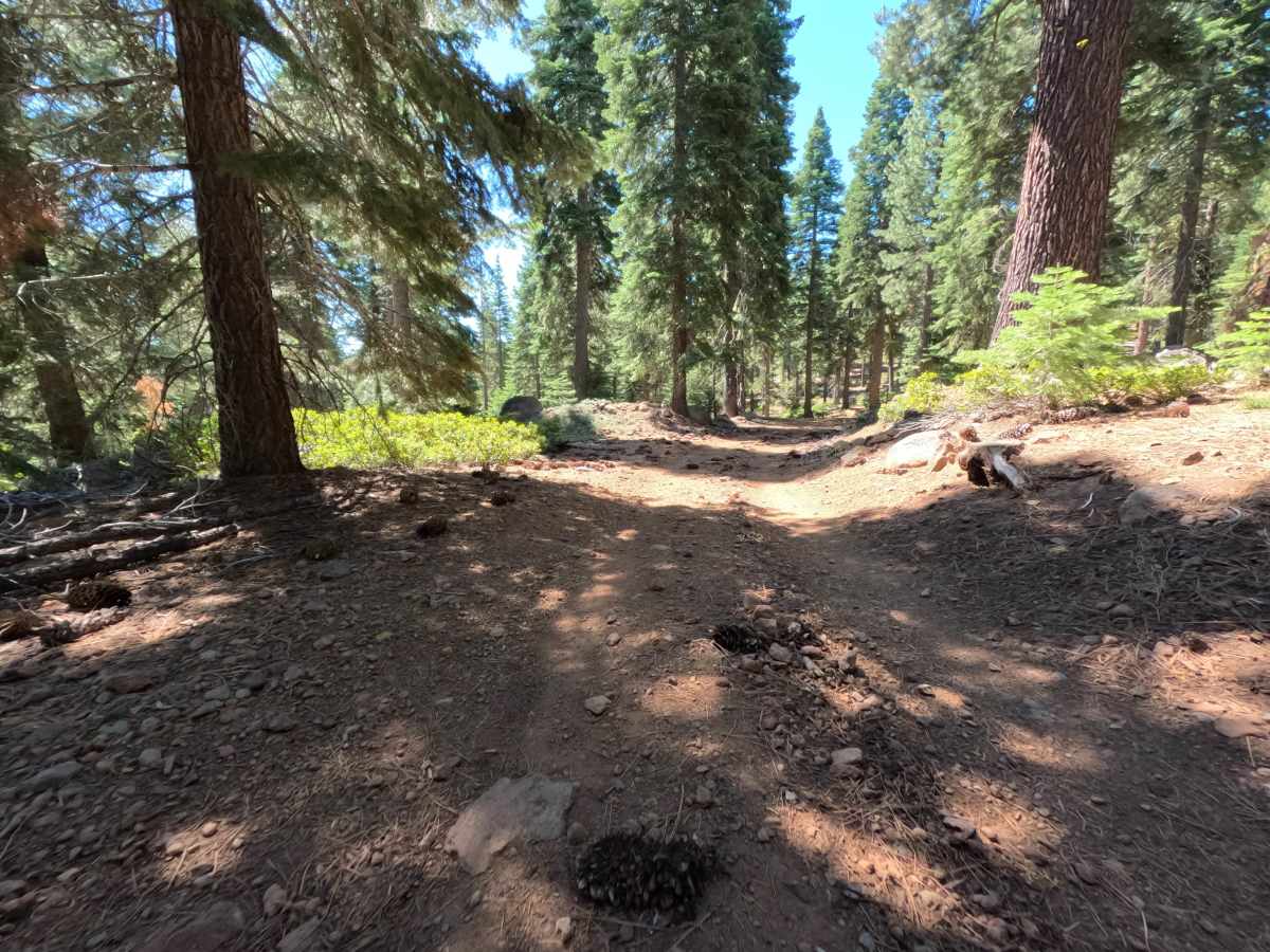 Sawtooth Spur C - FS  6-6 photo 2