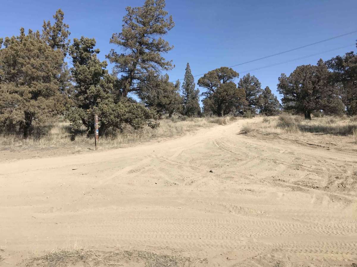 Millican Plateau Trail 82 photo 4