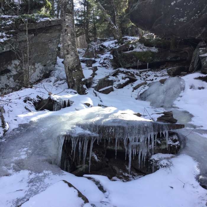 Near Kaaterskill High Peak