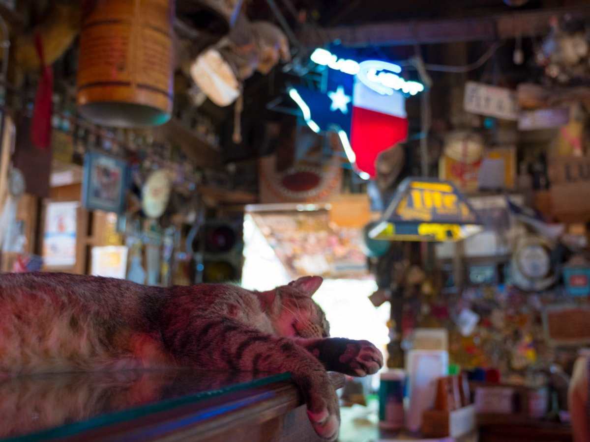 Texas Hill Country Tour photo 3