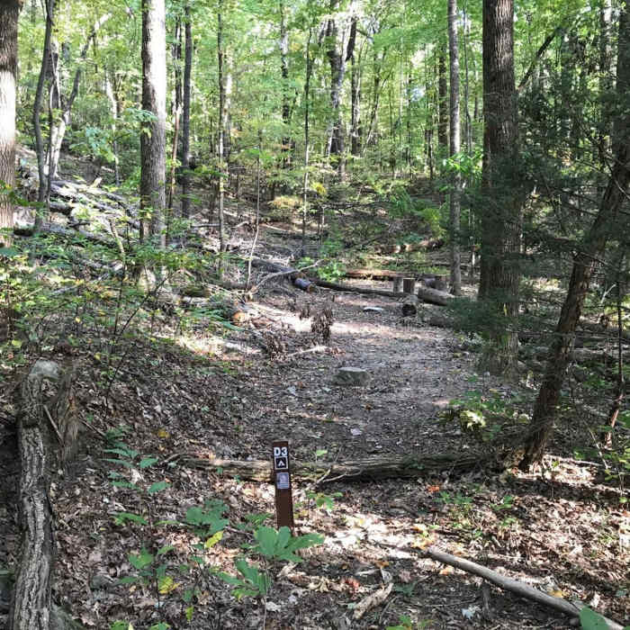 Near Moonshine and Confusion Falls Trail