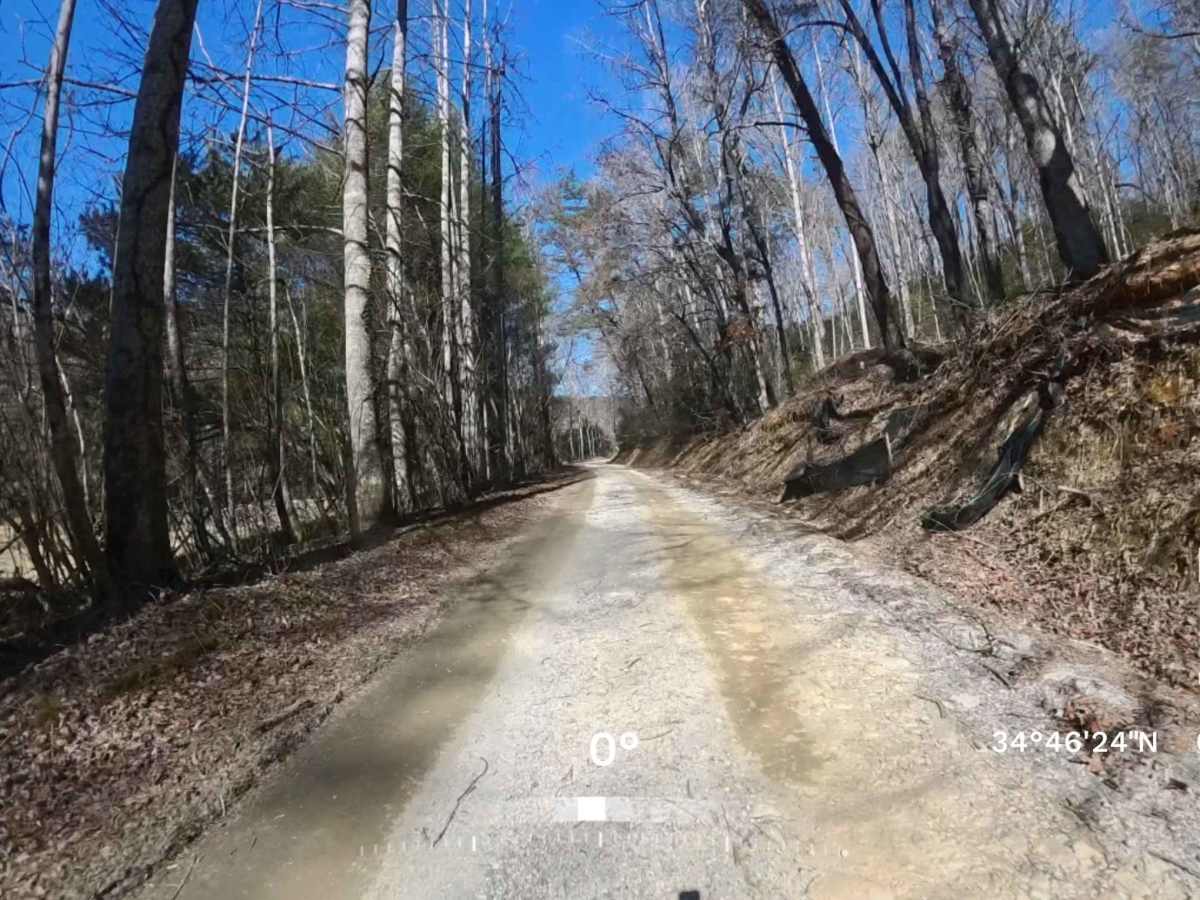 Kennedy Mountain Road 248 photo 4