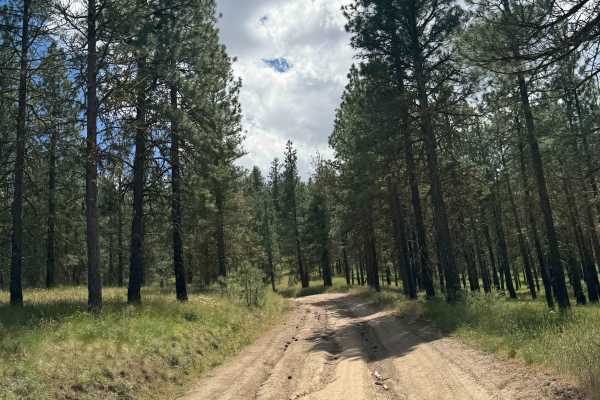 Milk Canyon Road