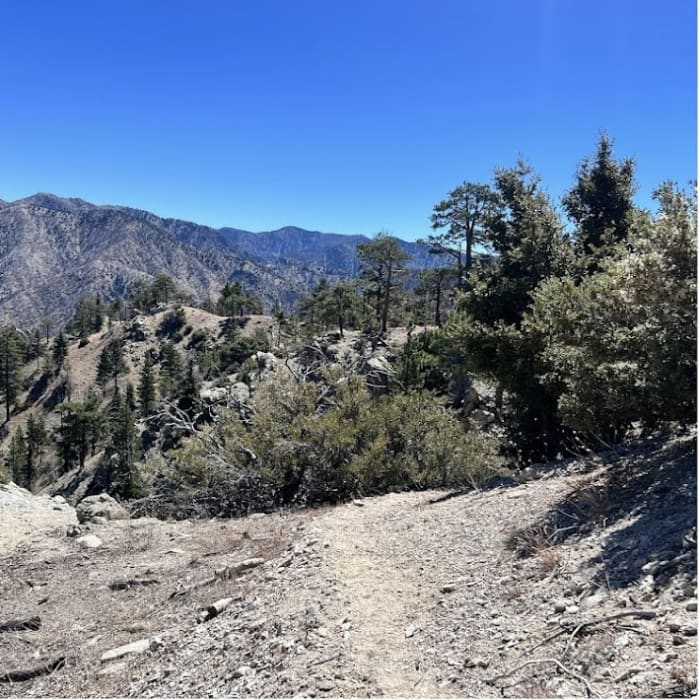 Near Winston Peak and Winston Ridge Loop