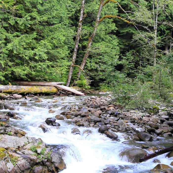 Near Deception Falls Loop