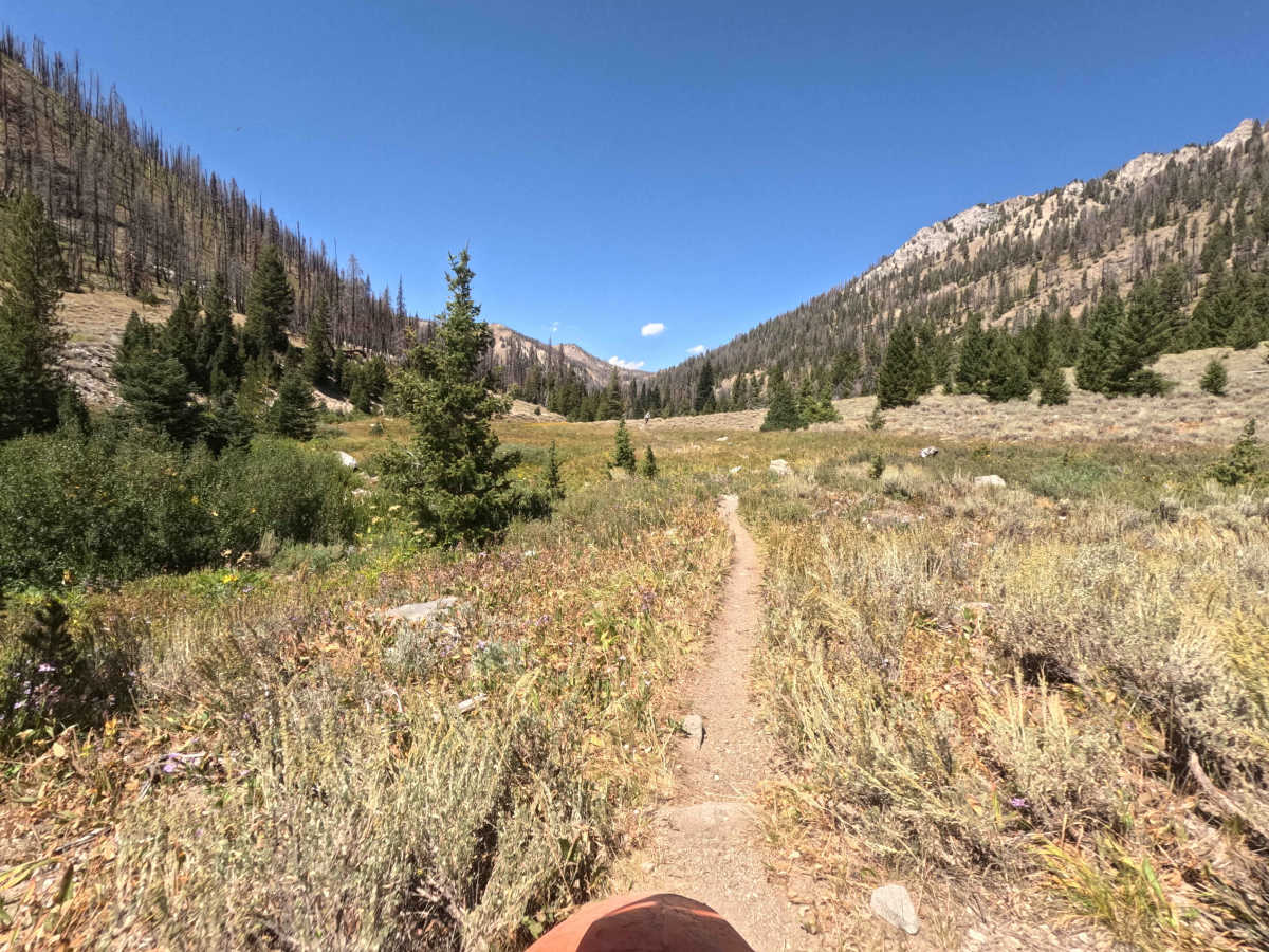 Johnson Creek - FS 7181 photo 2