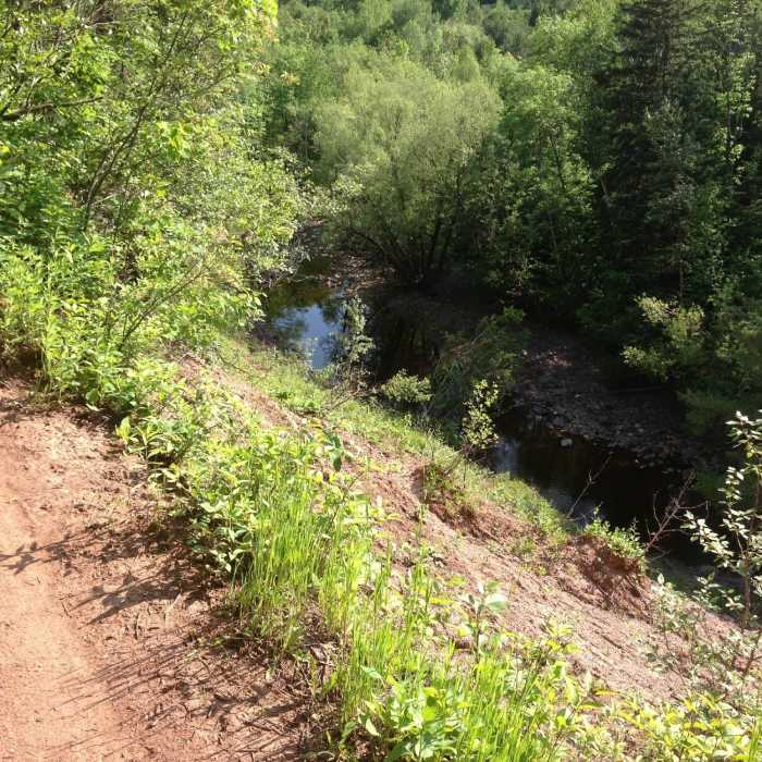 Near Amity East Trail