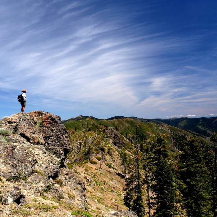 Near Fish Hook Interpretive Trail #1180