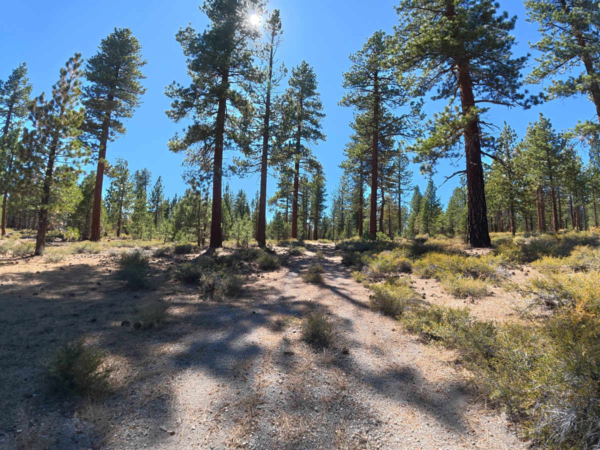 FS 1S87A photo 5