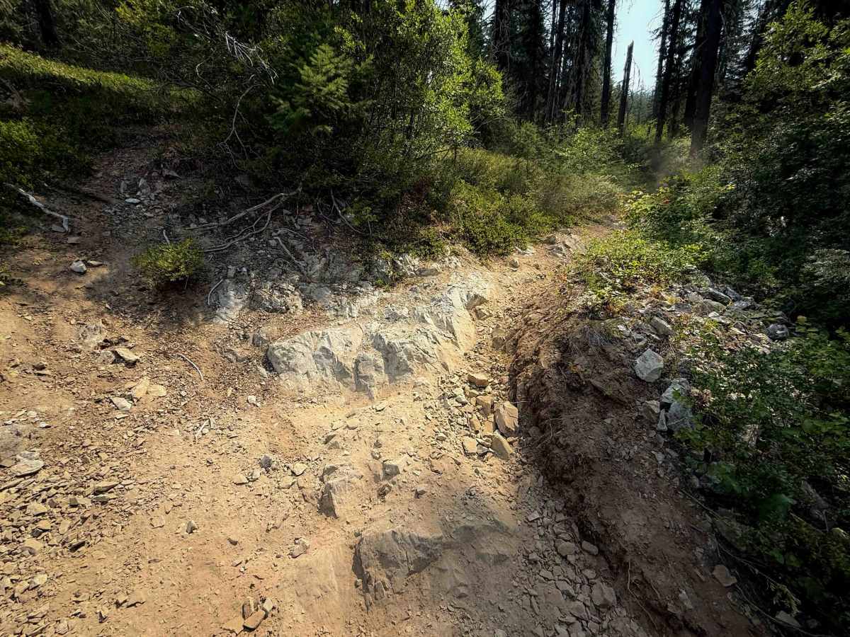 Jolly Mountain Trail - 1307 photo 4