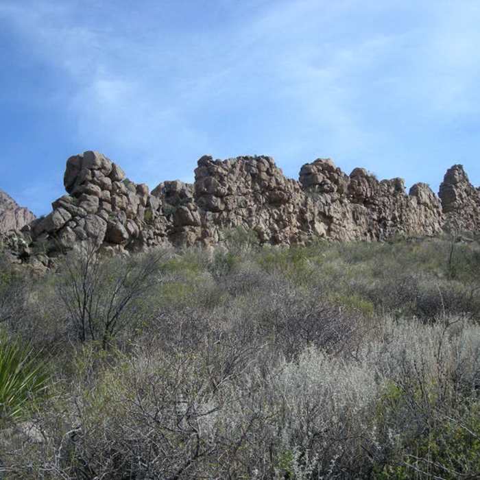 Near Ward Spring Trail