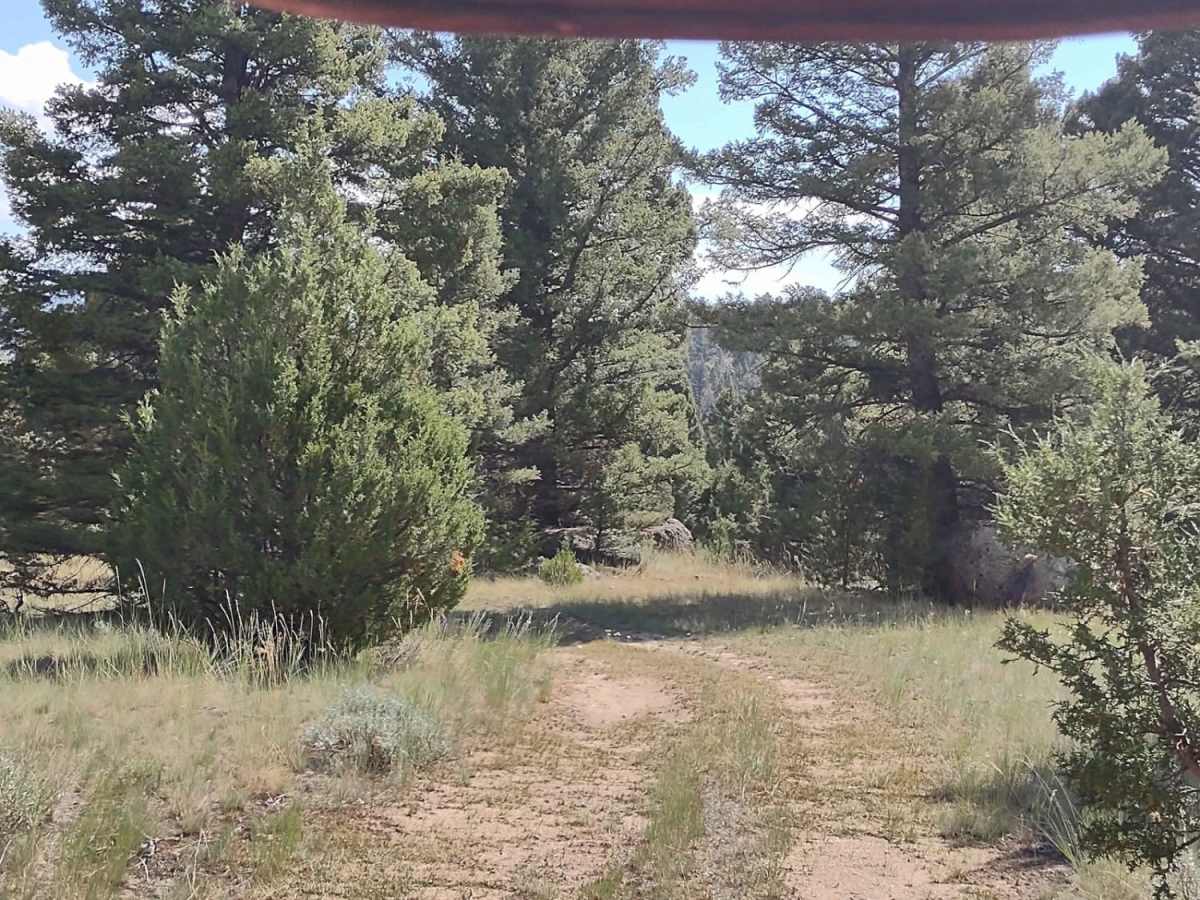 Wilderness Wanderings photo 3