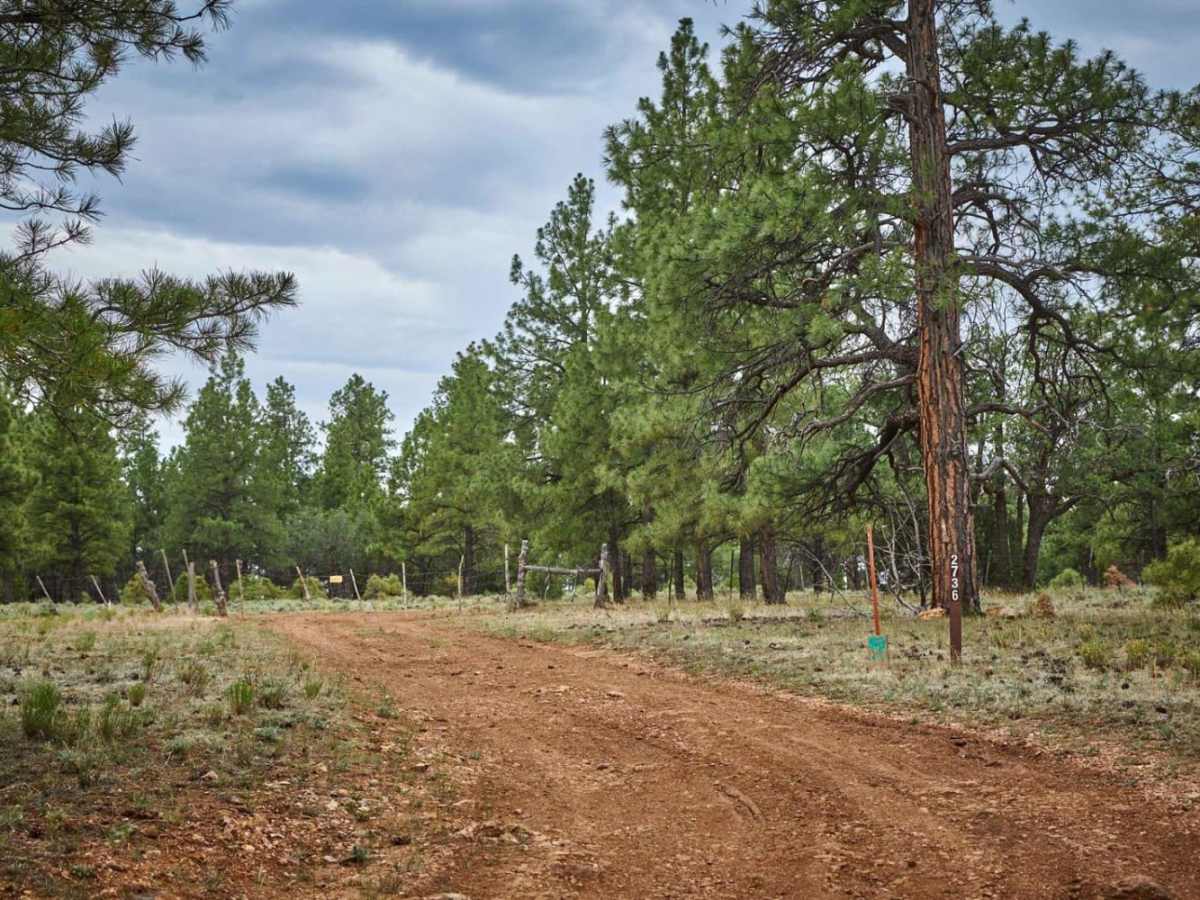 FR 2736 trail photo