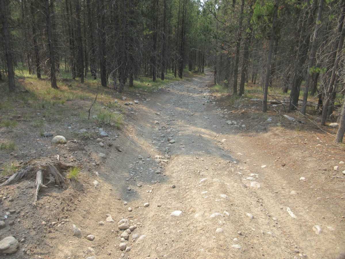Fish - Chick Creek Roads photo 5
