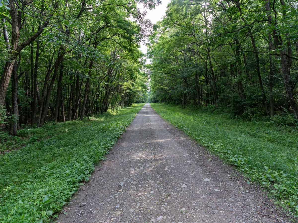Canaseraga Truck Trail photo 3