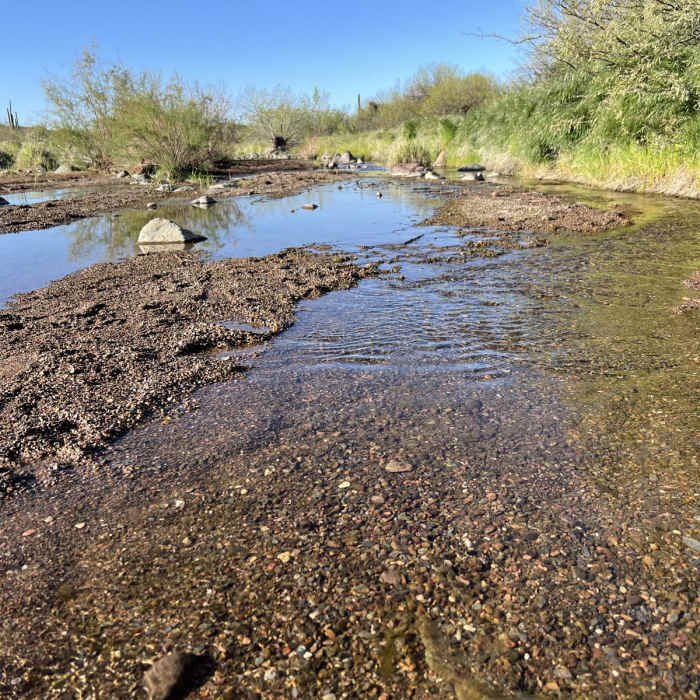 Near Elephant Mountain