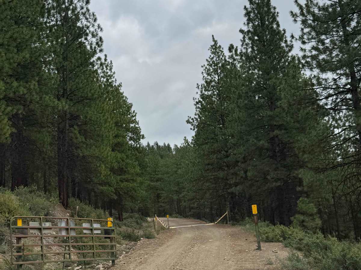 Washout Road - FS 5009-300  photo 6