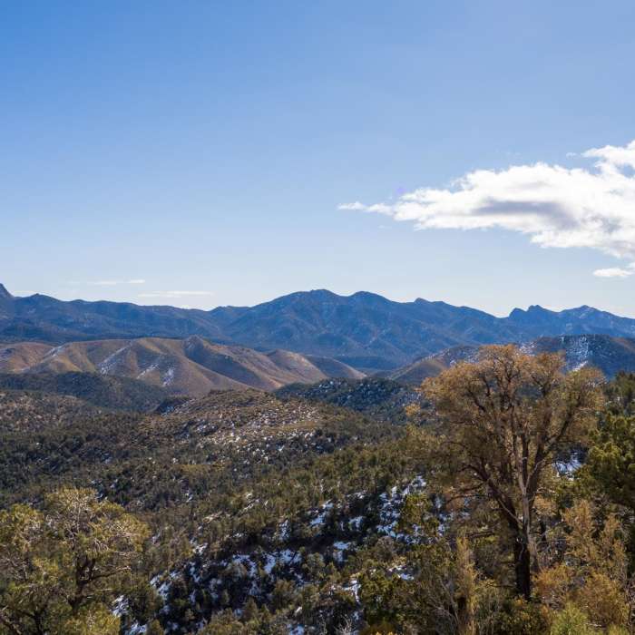 Near Griffith Shadow Loop