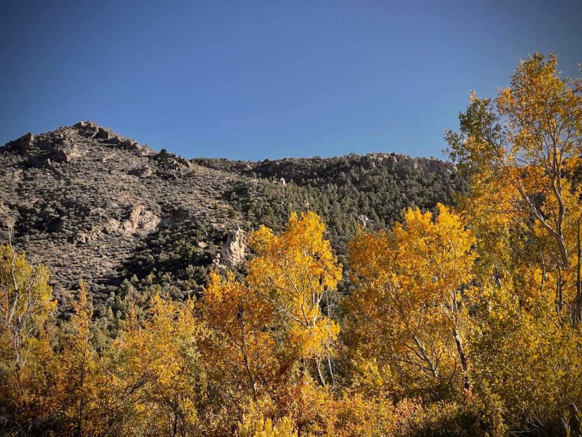 Snake Creek Road photo 4