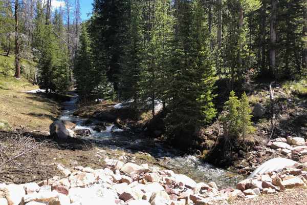 Warm Springs Creek Road 170