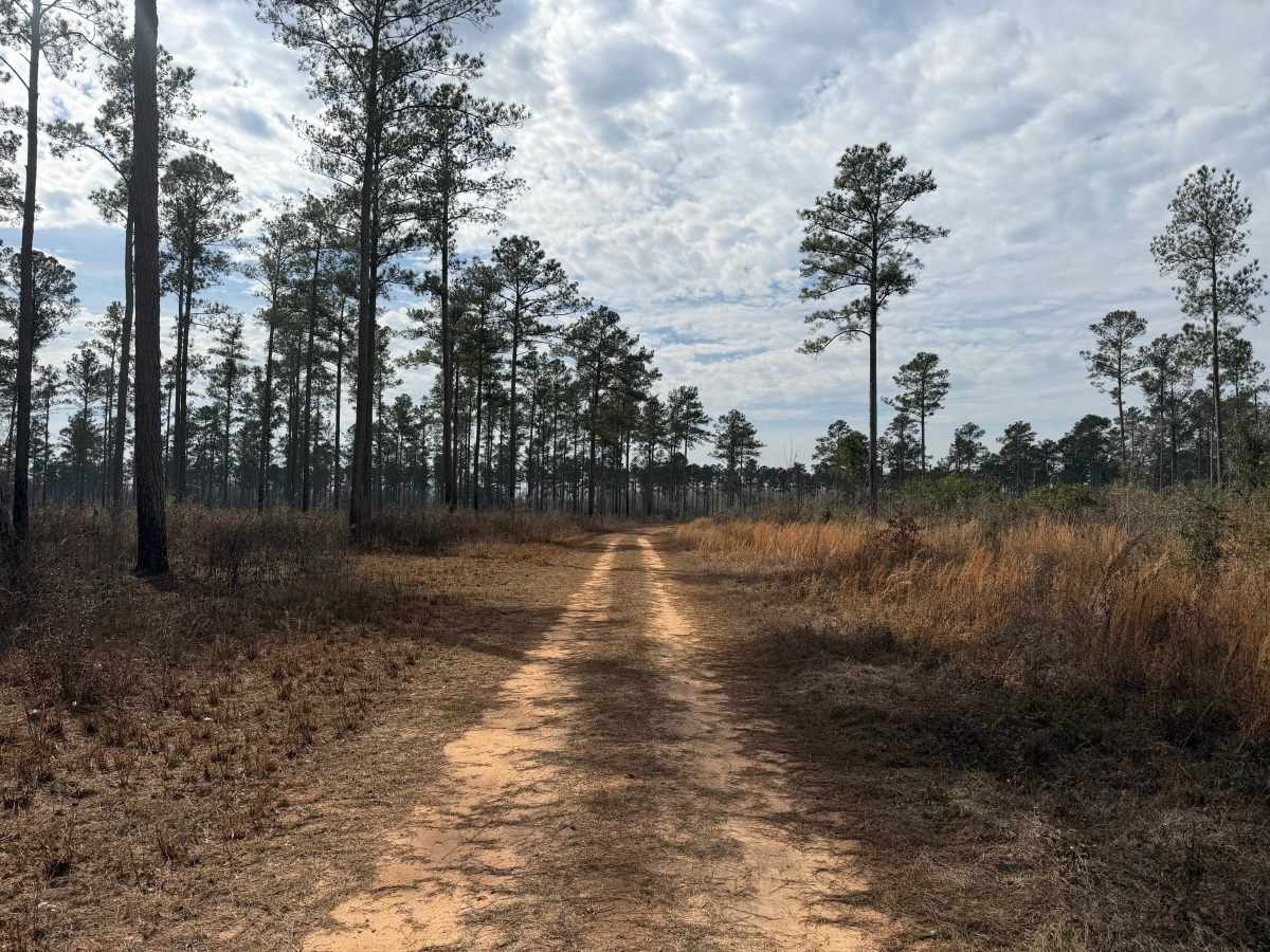 Grid Loop Road photo 4