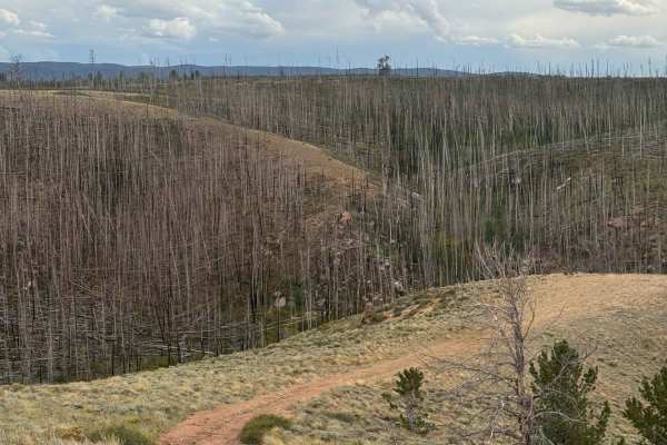 West Gramm Spur