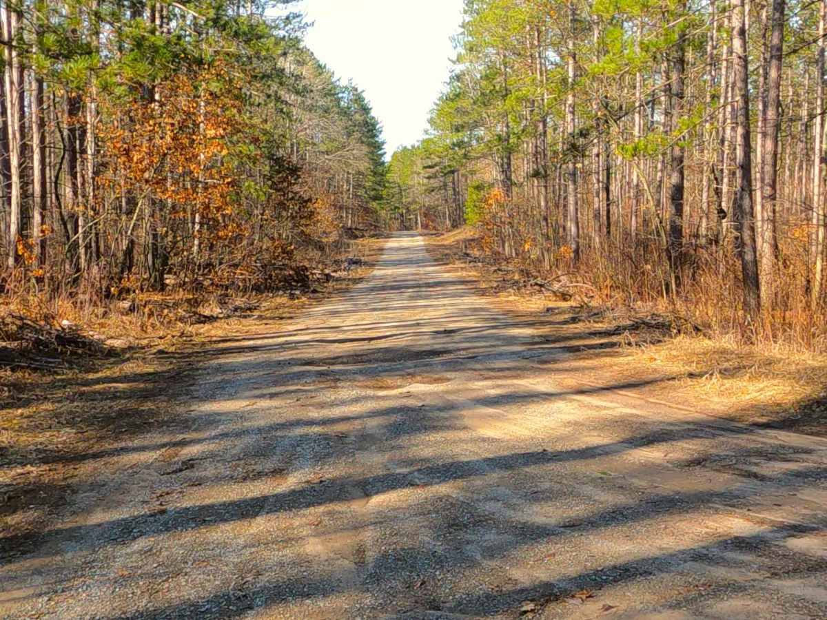 Summers Road - FS 4451 photo 3