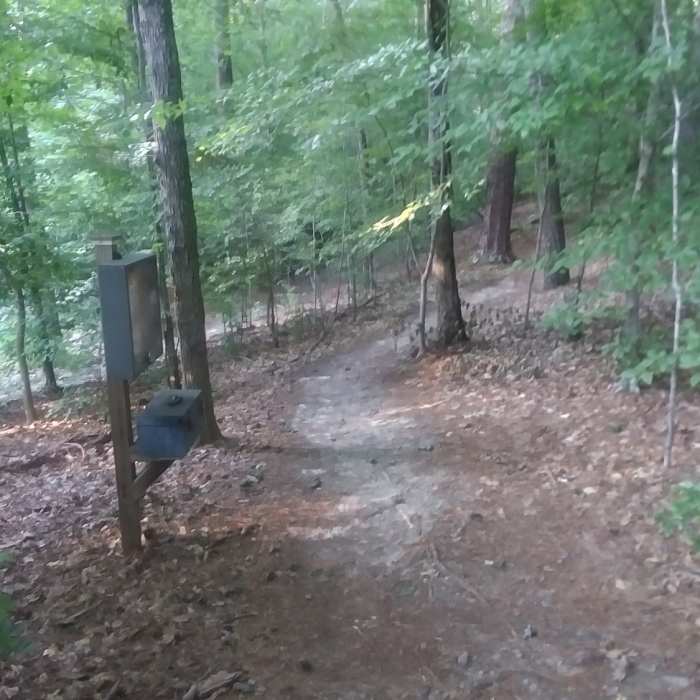 Near Honeycutt Creek Greenway Trail