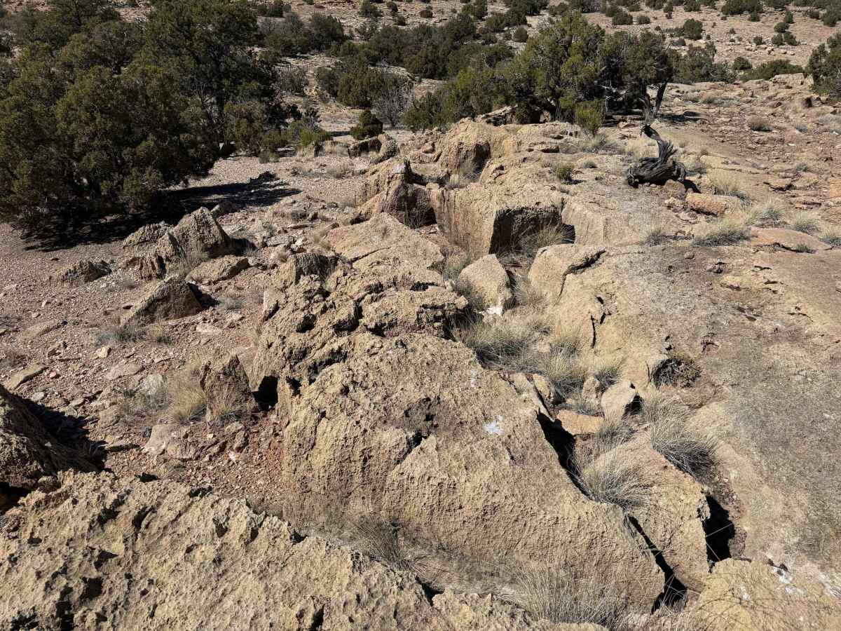 Dragon Scale Rocks photo 3