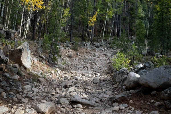 South Quartz Trail - FS 483