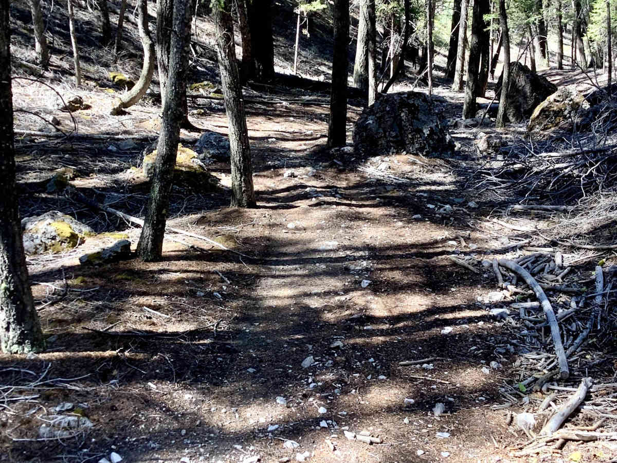 Mikes Trail photo 5