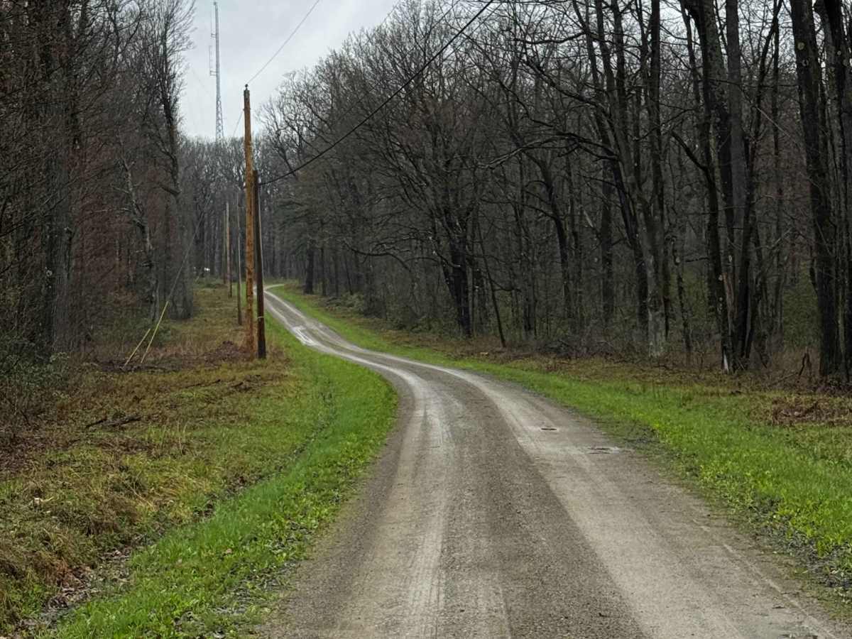 Schofield Road photo 4