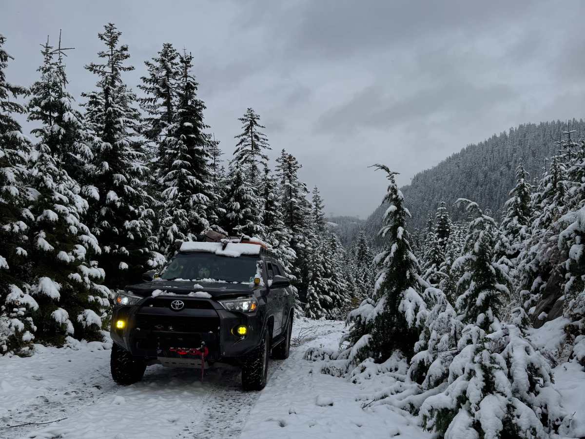 Twin Lake/ Cold Creek Road photo 3