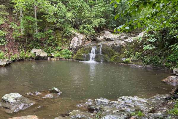 Gilmore Hollow