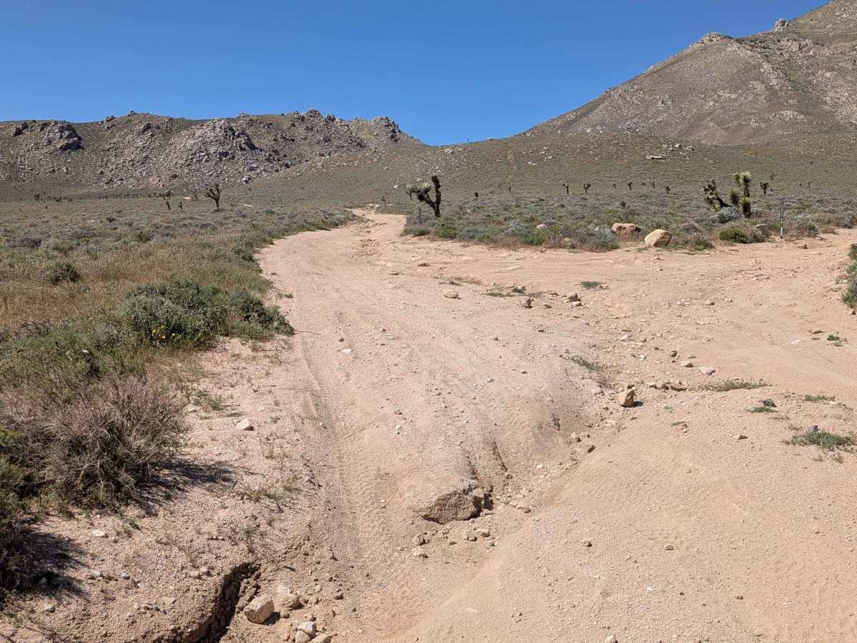SC88 Loop trail photo