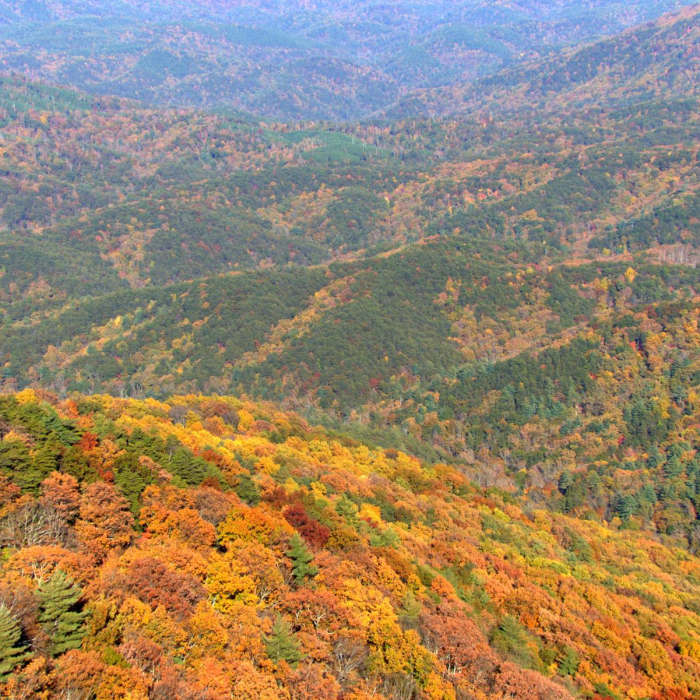 Near Fort Mountain State Park 301 Loop