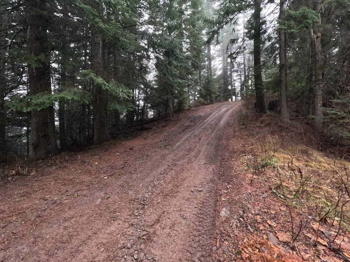 Potato Hill Road - Trail 783 photo 6