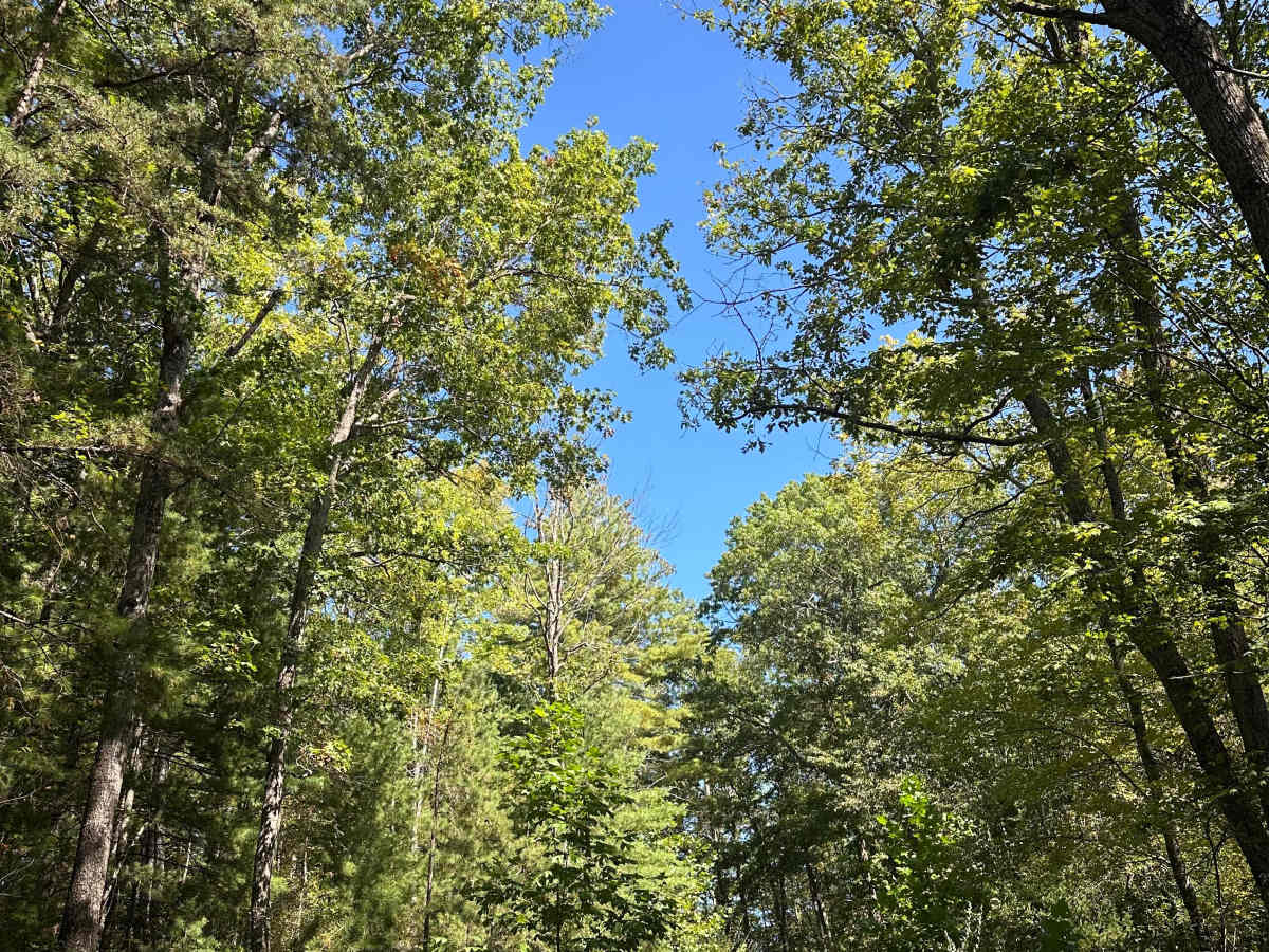 Little River photo 2