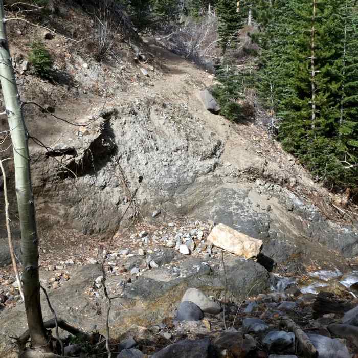 Near Jones Whites Creek Loop + Church's Pond (Clockwise)