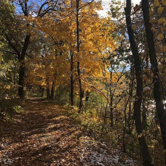 Near Chester Lake Trail