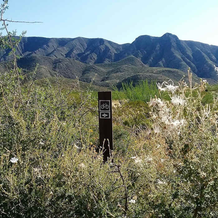 Looking east from the trail Near Bike Loops