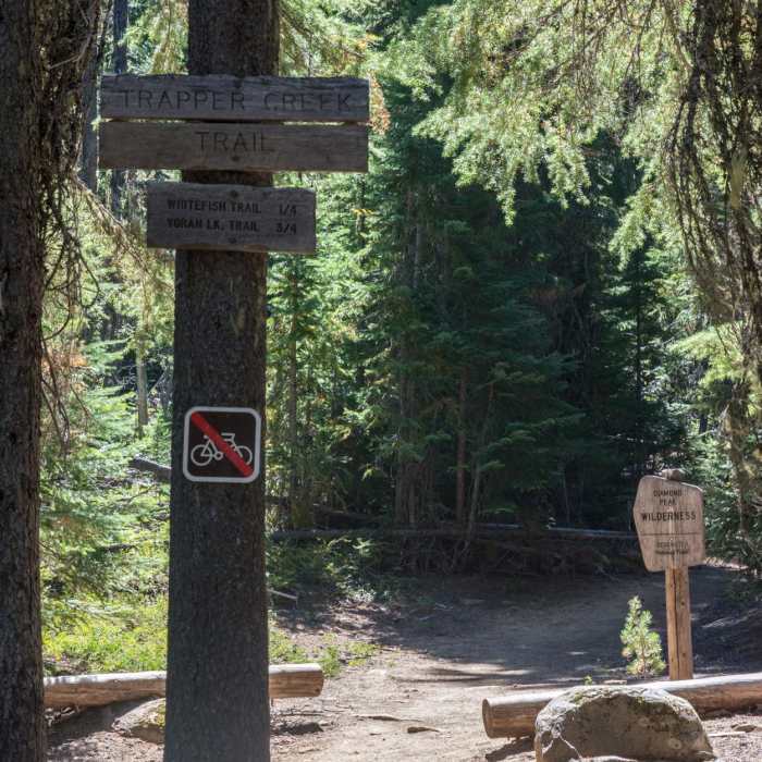 Near Yoran Lake Trail