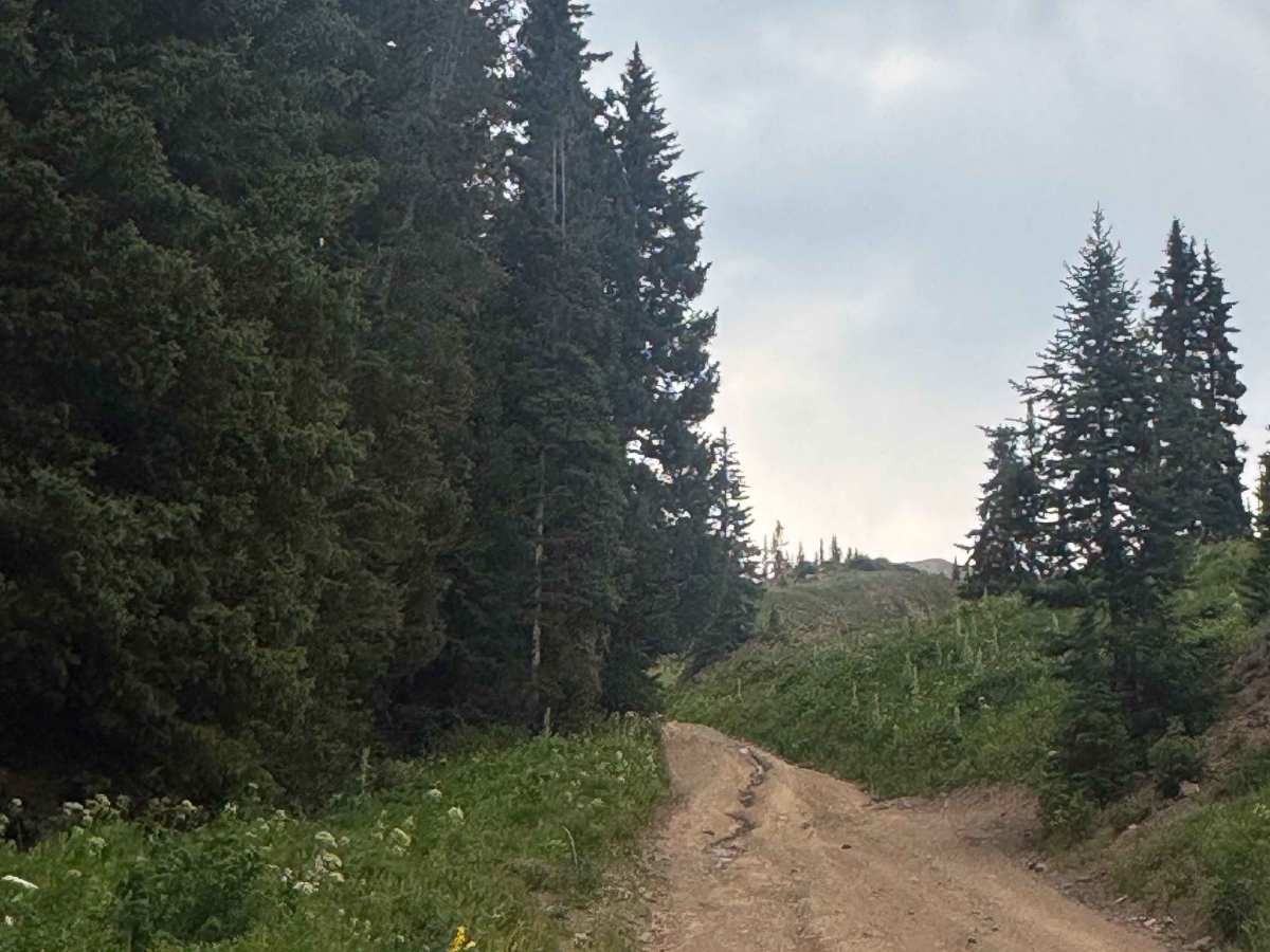 Washington Gulch Road photo 5