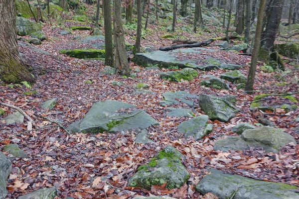 OHV 30 - Rock Run Recreation Area