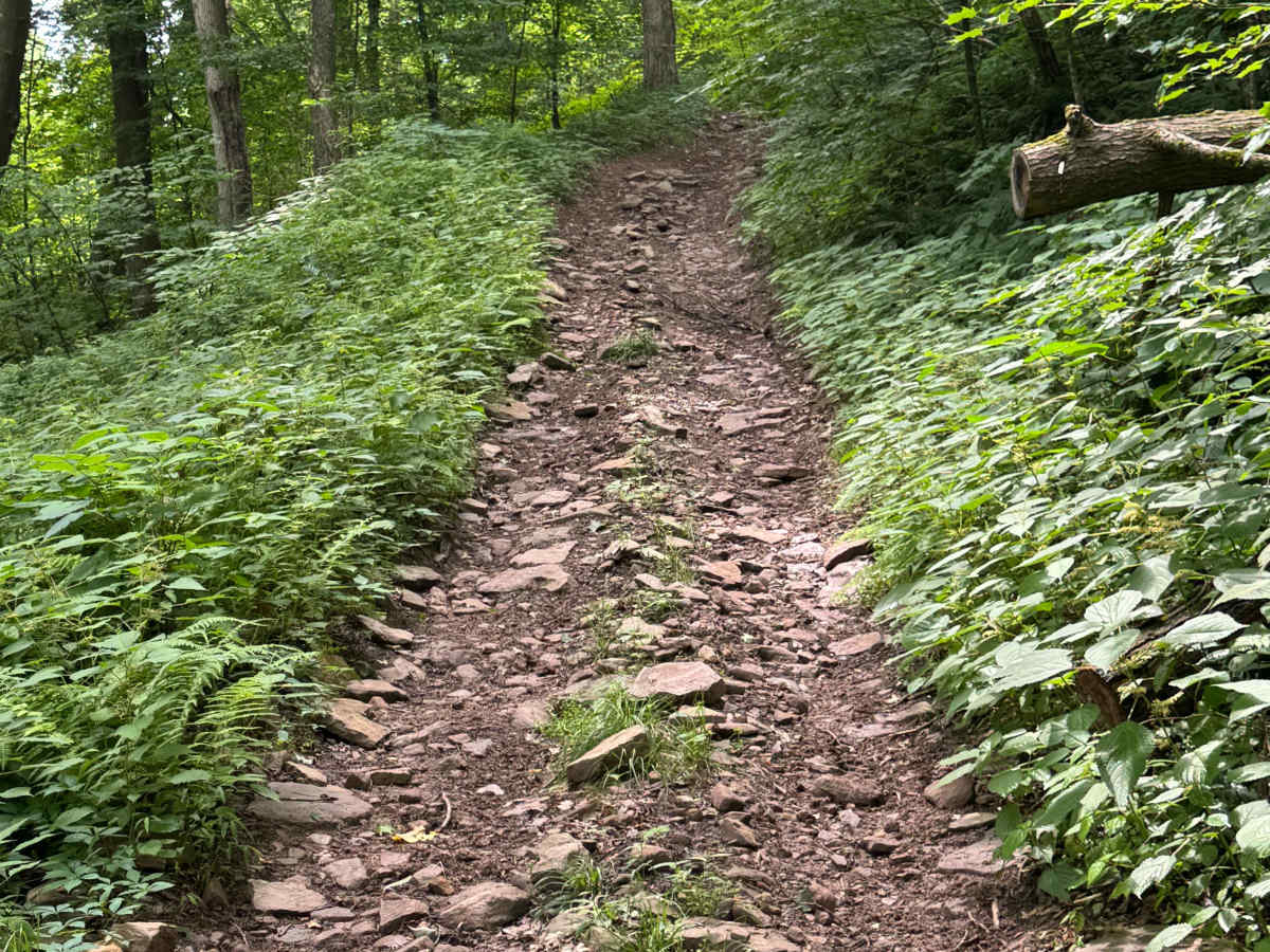 Trail 74 trail photo