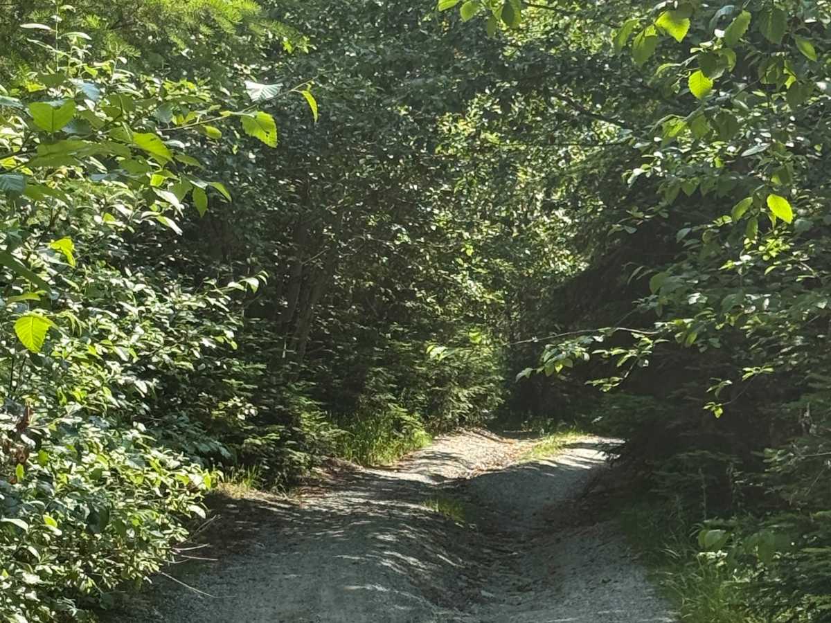 Fawn Pit photo 5