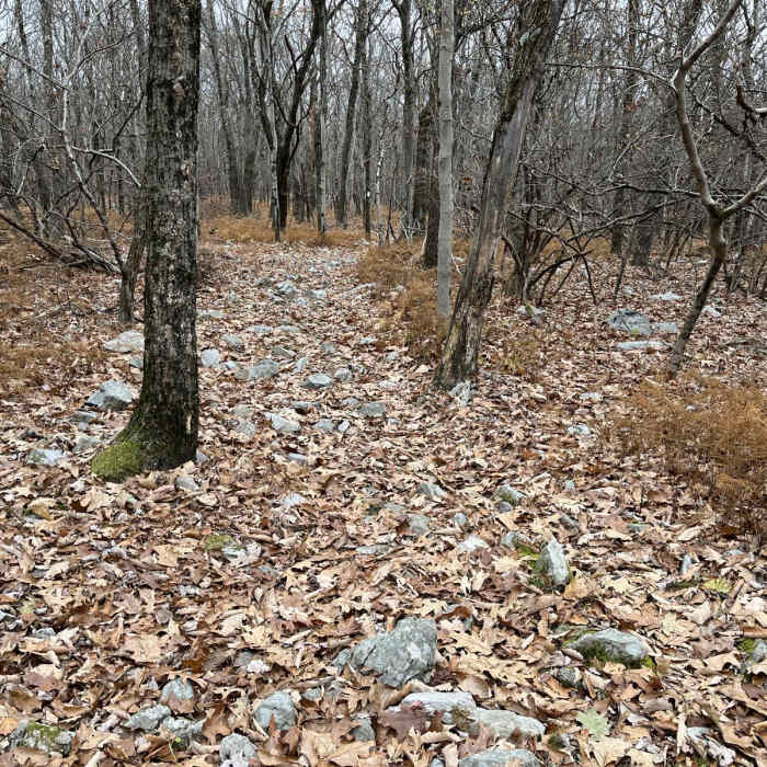 Near Appalachian Trail: Wind Gap to Fox Gap Near Appalachian Trail: Wind Gap to Fox Gap